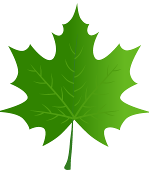 United Import leaf
